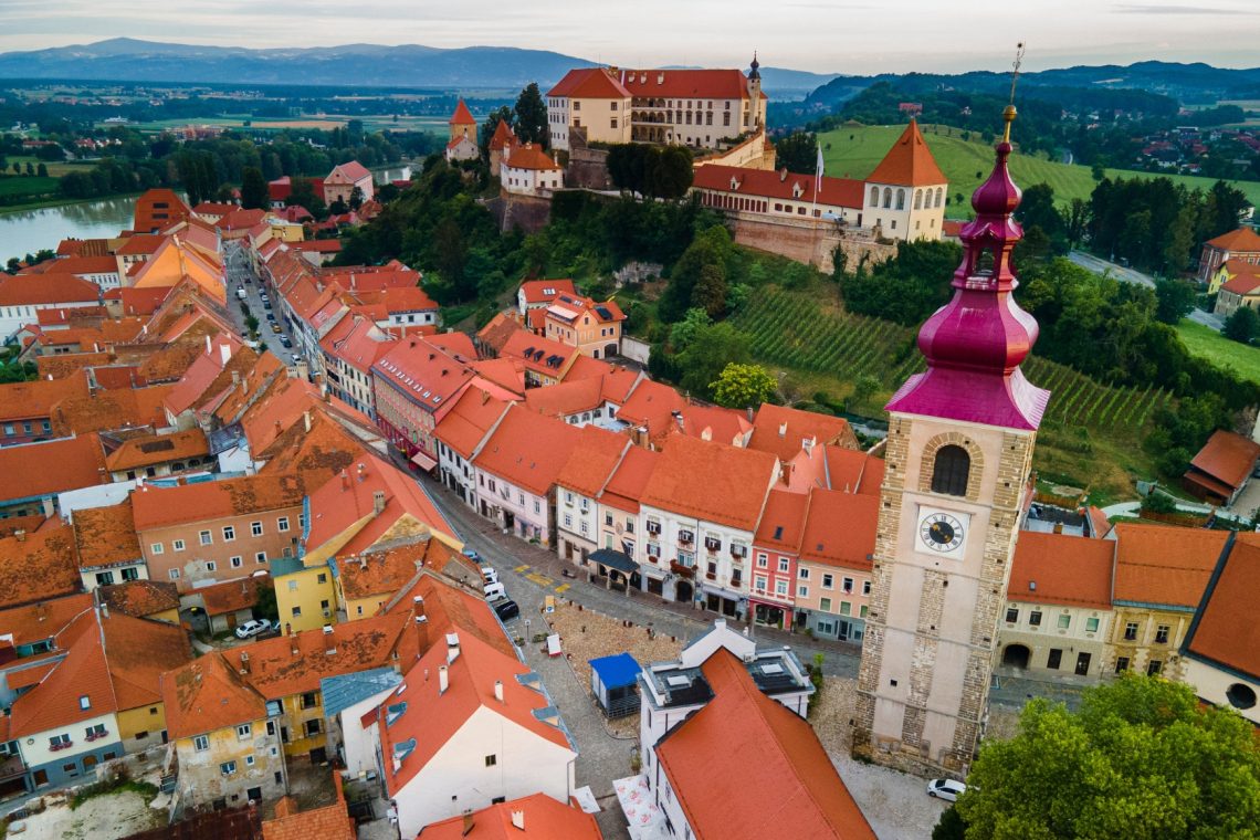 Ptujski svetniki potrdili združitev treh javnih zavodov v enega