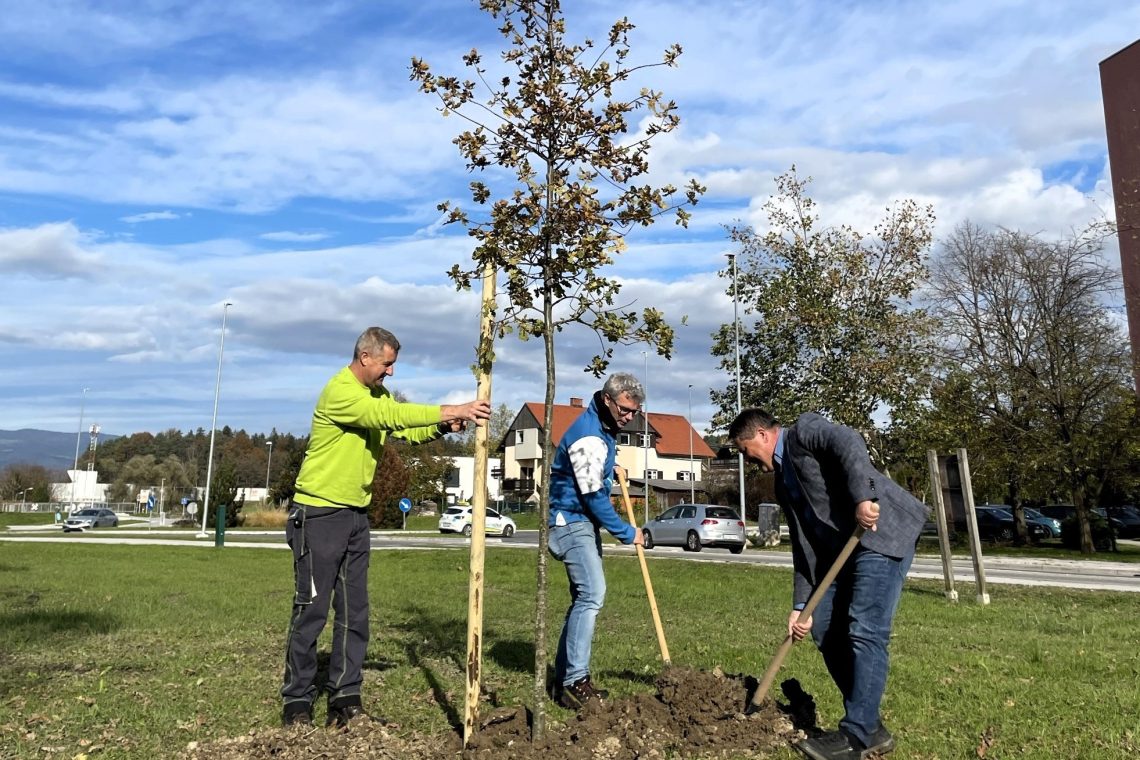 Celje je od danes bogatejše za 25 dreves