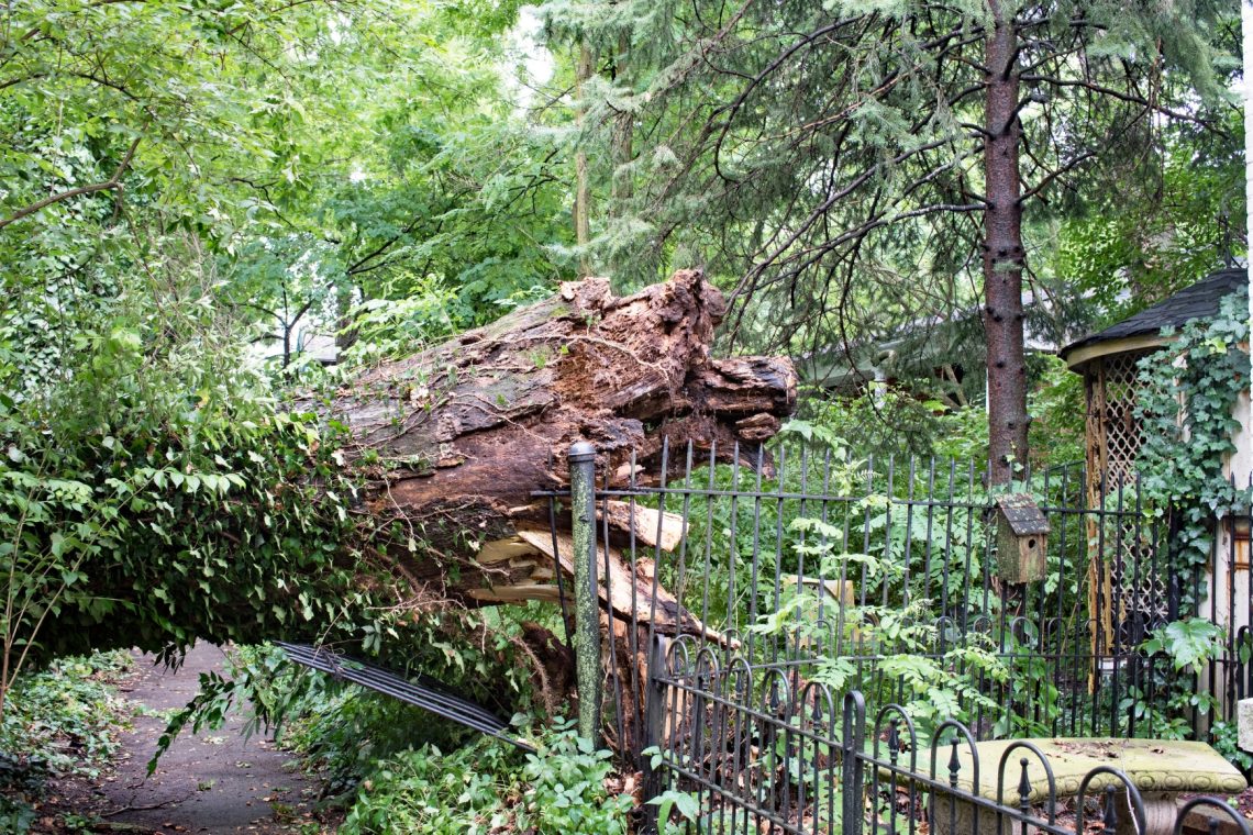 Nevihta za seboj pustila podrta drevesa, odkrite strehe in poplavljene objekte