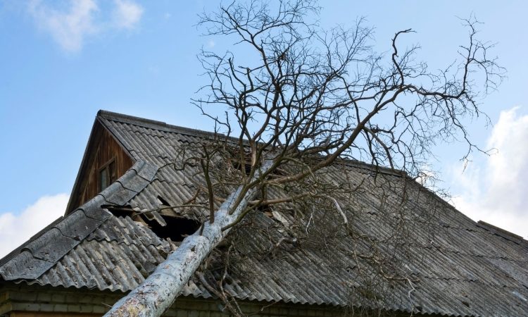 V Topolšici še odstranjujejo posledice nedeljskega vetra