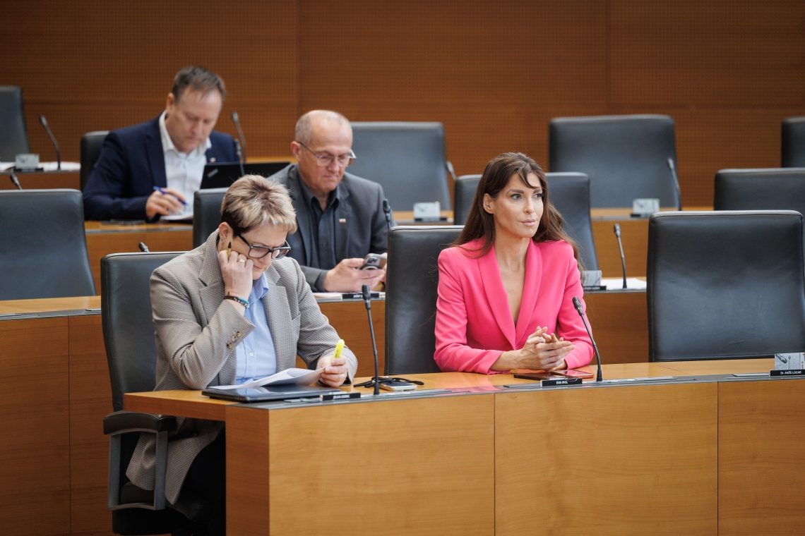 Iz SDS izstopila Eva Irgl, Dejan Kaloh o tem še razmišlja
