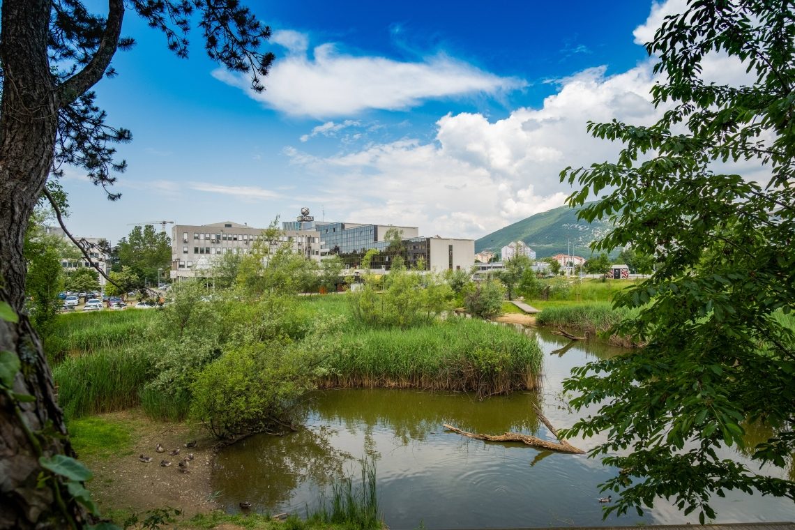 Nova Gorica vzpostavila kataster dreves za boljše upravljanje mestne vegetacije