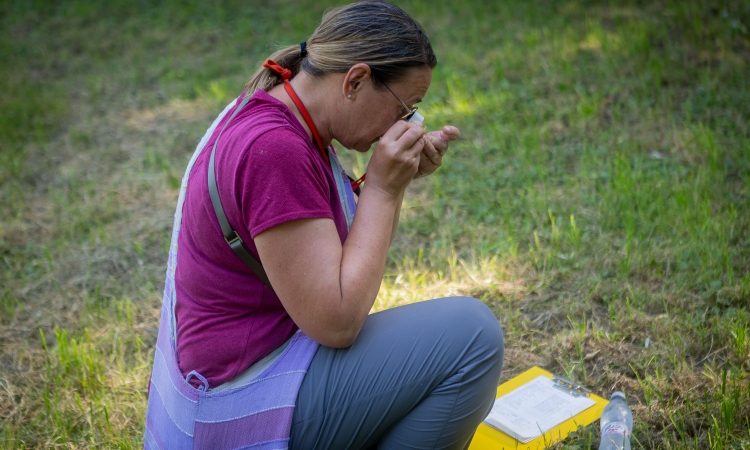 V Radencih zbrani raziskovalci iz štirih držav popisovali življenje ob Muri