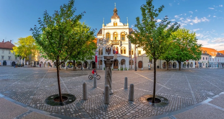 Romski svetnik opozarja, da država z ukrepi že zamuja