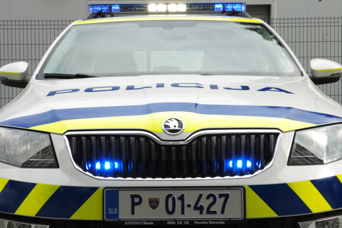 Vlak med Pivko in Ilirsko Bistrico trčil v bika, škode ni bilo