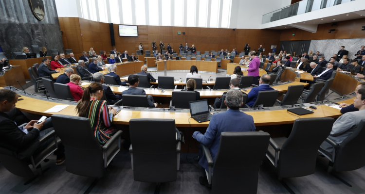 DZ zavrnil poročilo o domnevno ukradenih otrocih
